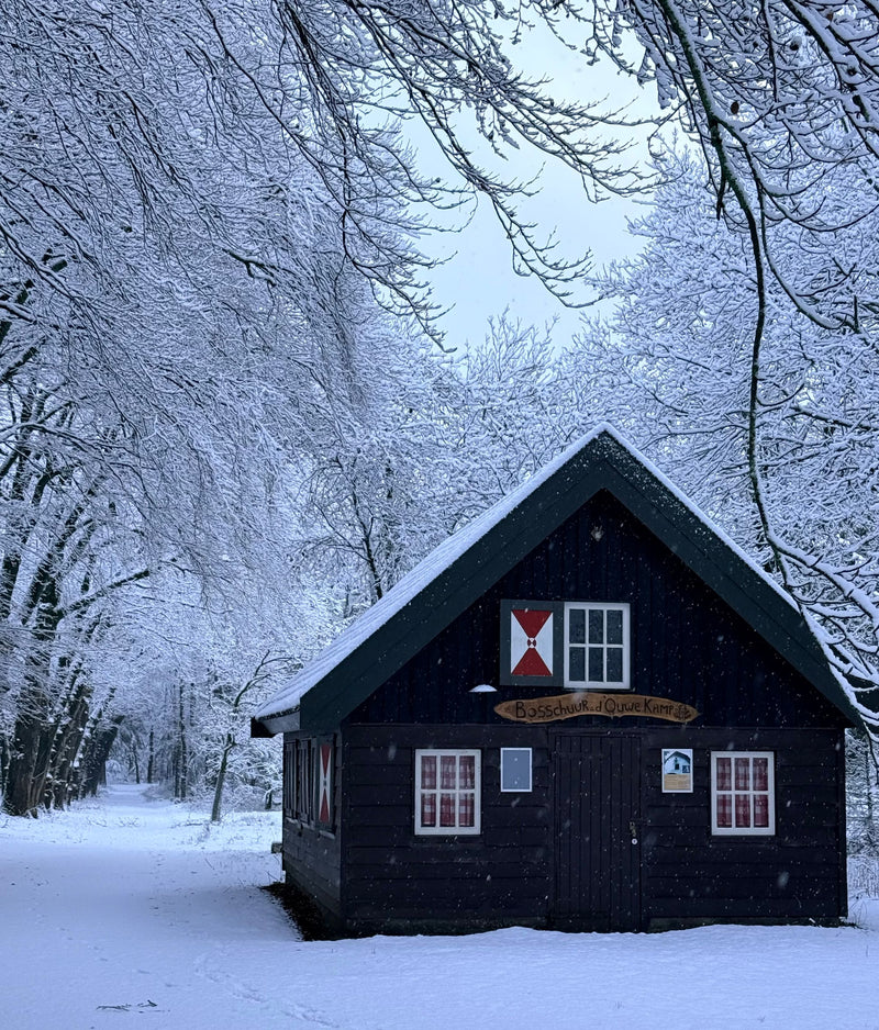 Cozy cabin in a snow-covered winter forest