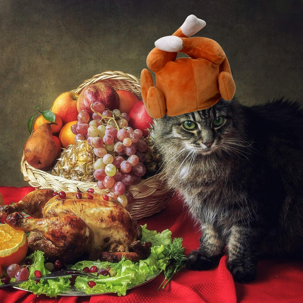 Thanksgiving Cat Costume 2 Pack - Pet Turkey Hat Thanksgiving Apparel for Cats and Small Dogs