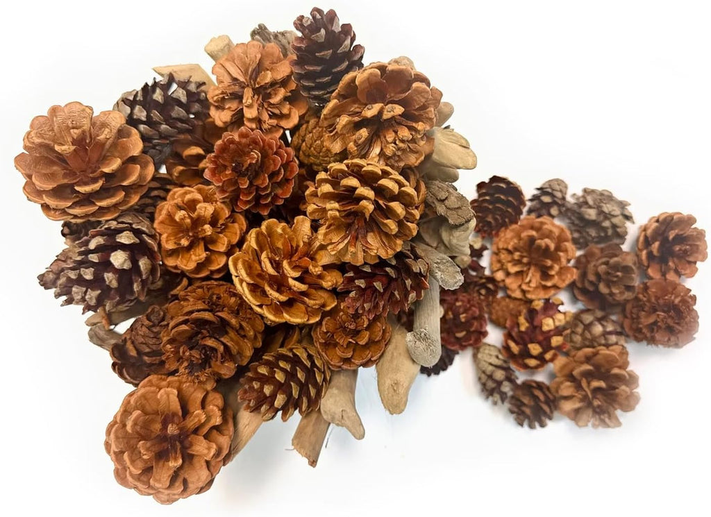 Pine Cones | 100 Small Pine Cones 3/4"-1 1/4" | 6 Oz Mini Black Spruce Pine Cones | Pine Cone Filler