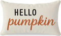 Cream & Orange Fall Pillow Cover, 12×20