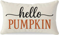 Cream Orange Fall Pillow Cover, 12×20 (Quote)