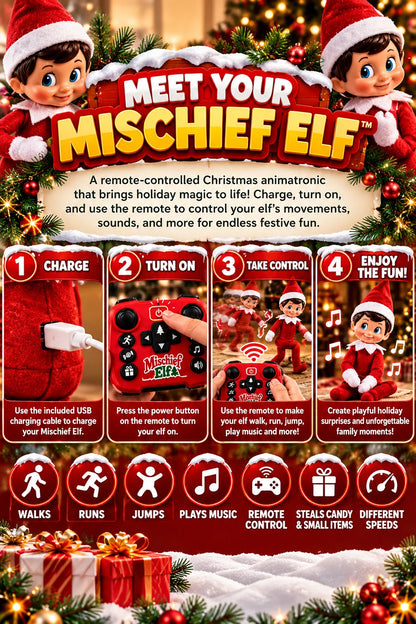 Meet your Mischief Elf